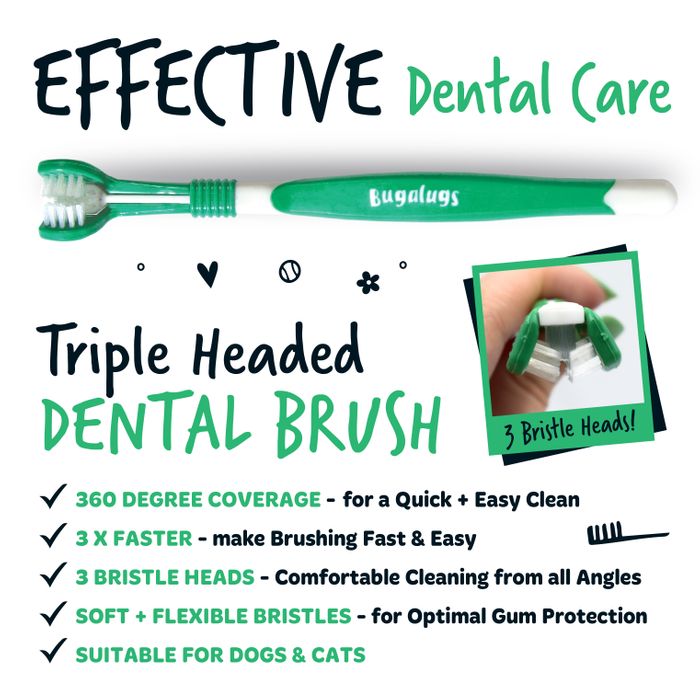 Toothbrushes and Toothpaste