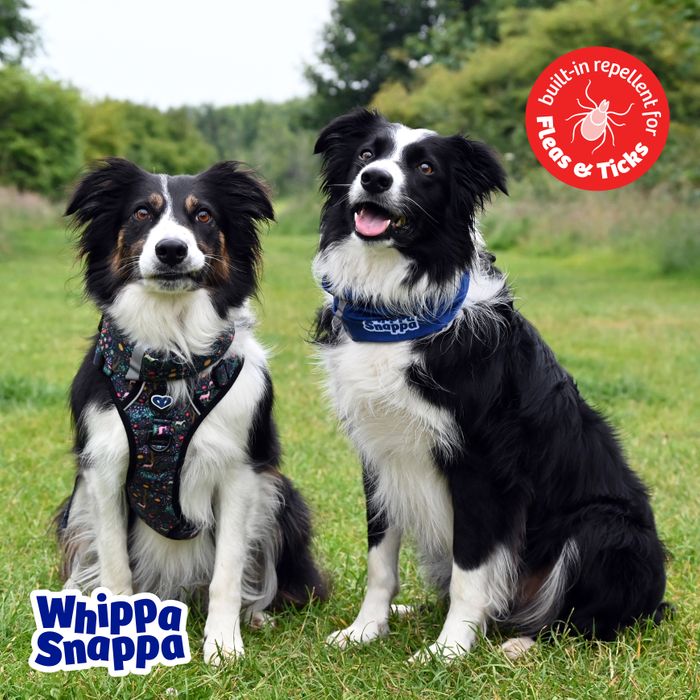Dog Harness with Built-in Flea & Tick Repellent