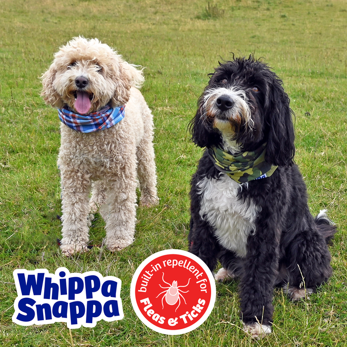 Dog Bandana with Built-in Flea & Tick Repellent