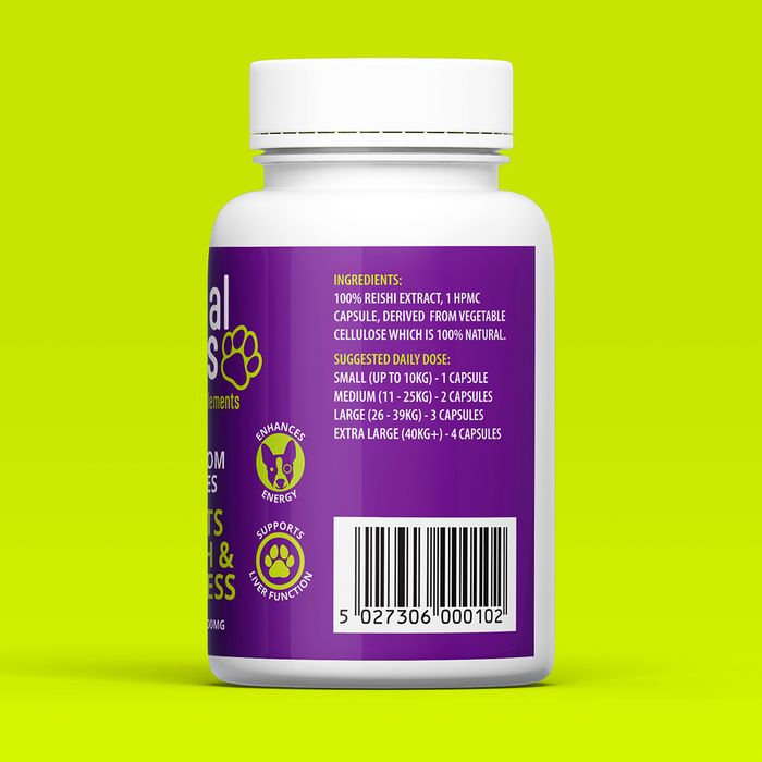 Reishi Mushroom Capsules