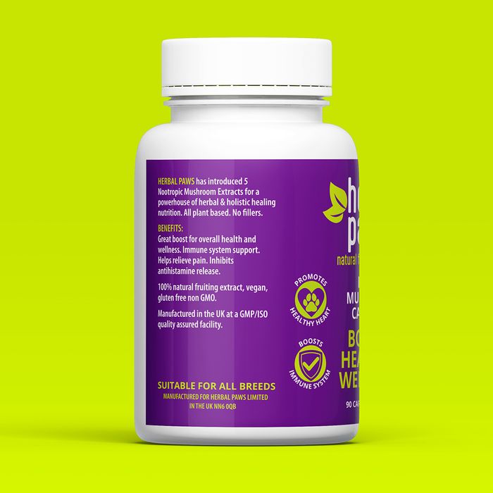 Reishi Mushroom Capsules