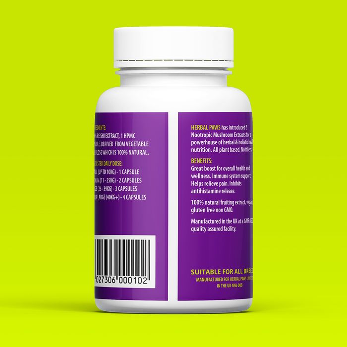 Reishi Mushroom Capsules