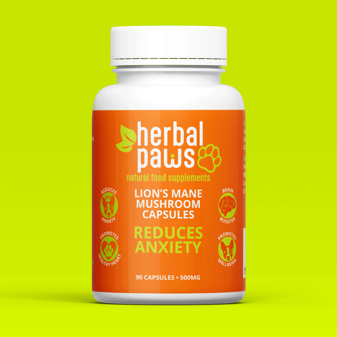 Cordyceps Mushroom Capsules