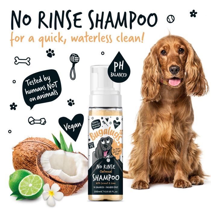 No Rinse Shampoo
