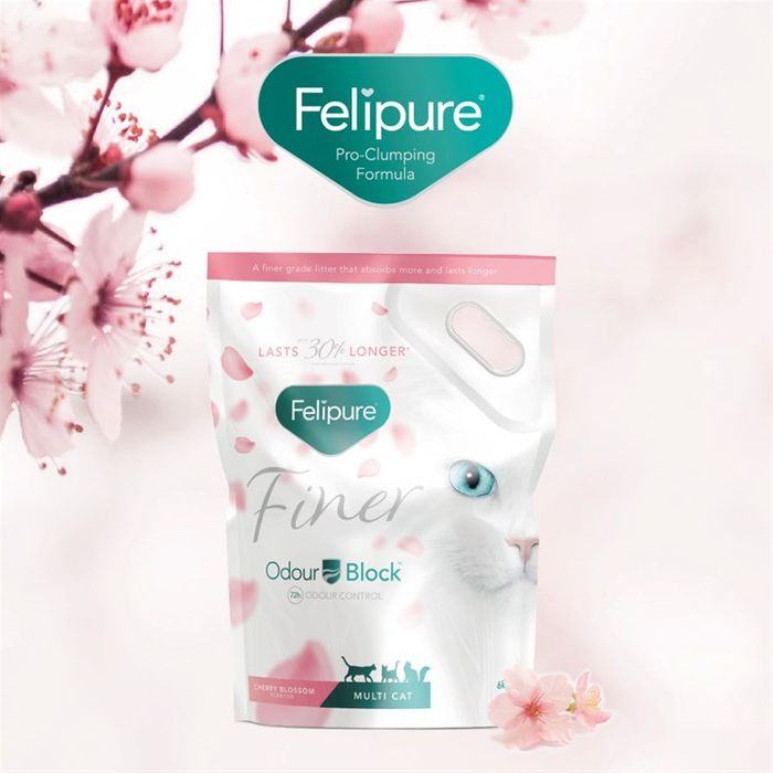 Felipure PATS 2025