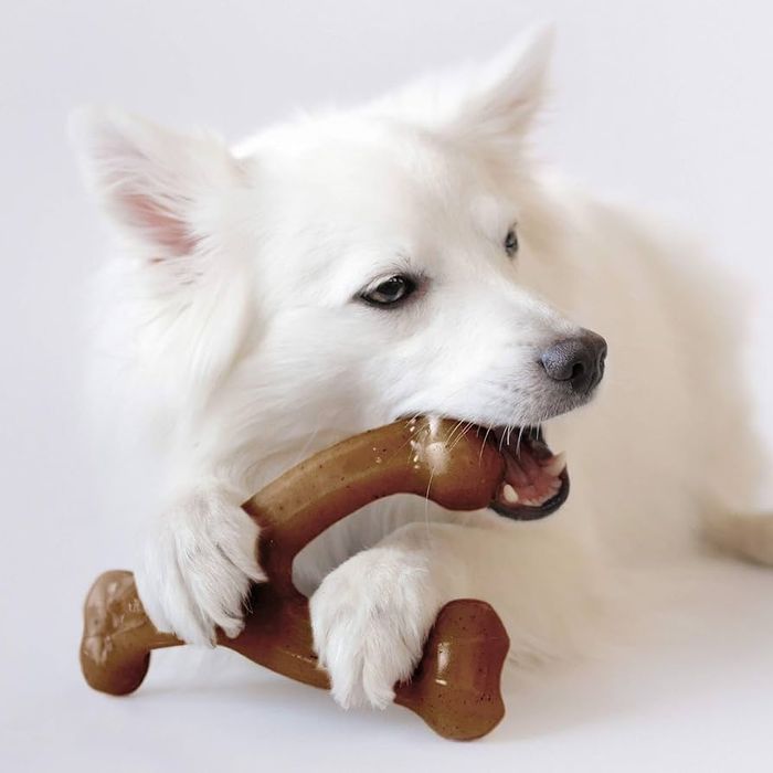 Benebone