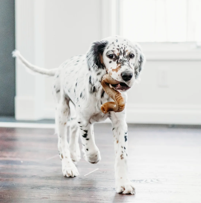 Benebone
