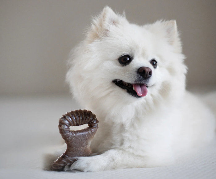 Benebone
