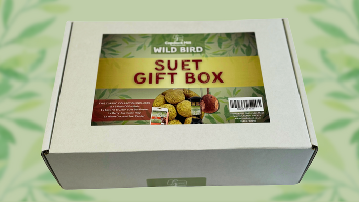 Copdock Mill Wild Bird Suet Gift Box