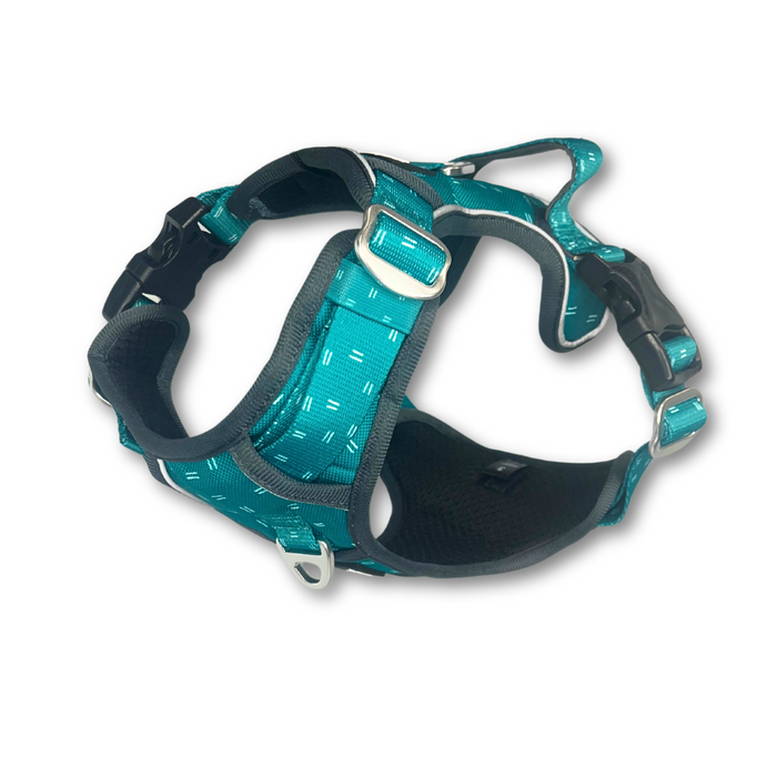 Adventure Harness - Tranquil