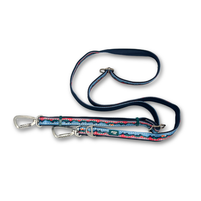 Multi-Way Lead - Sierra