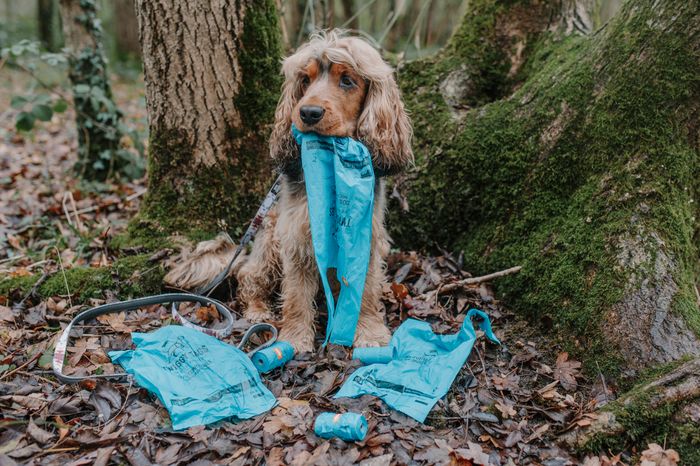 Extra-Large Compostable Poop Bags