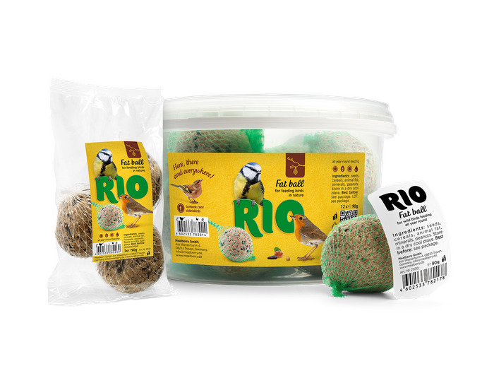 RIO Wild bird feeding