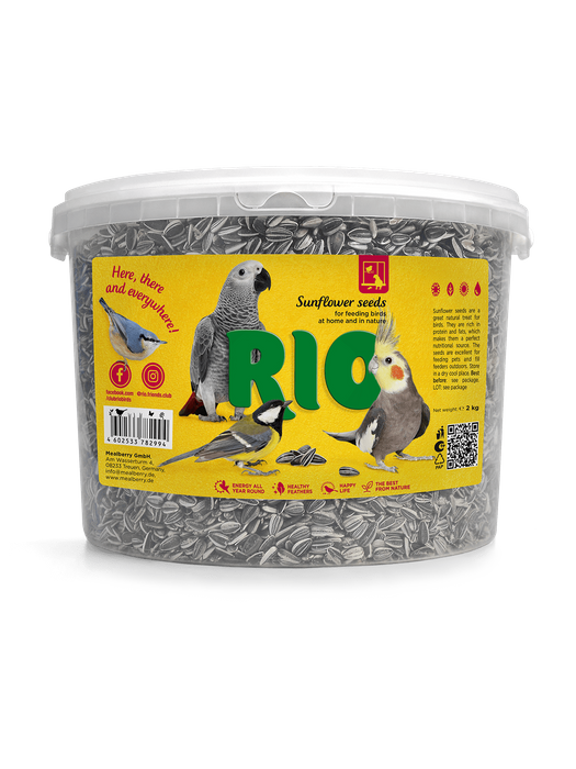 RIO Wild bird feeding
