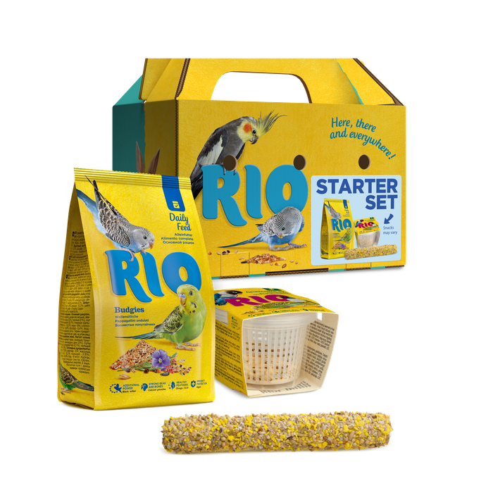 RIO Accessories