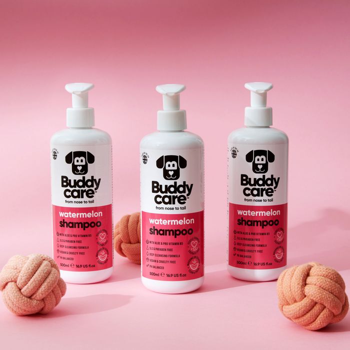 Buddycare Watermelon Dog Shampoo 500ml