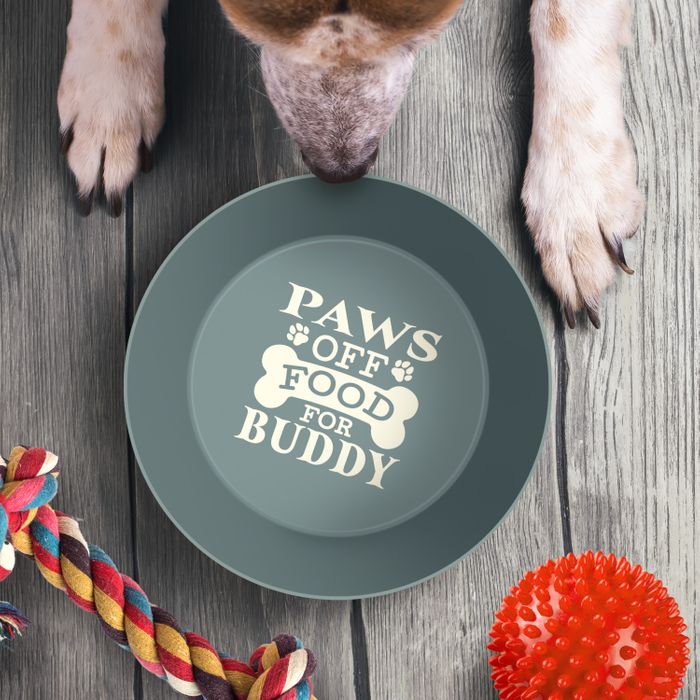 Personalised Dog Bowl