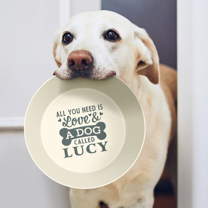 Personalised Dog Bowl
