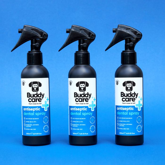 Buddycare Pet Antiseptic Dental Spray