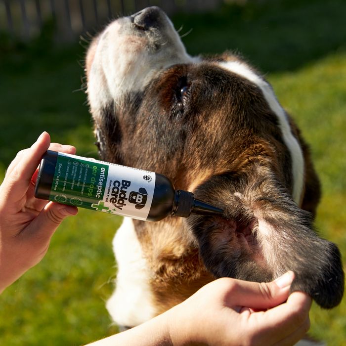 Buddycare Pet Antiseptic Ear Drops
