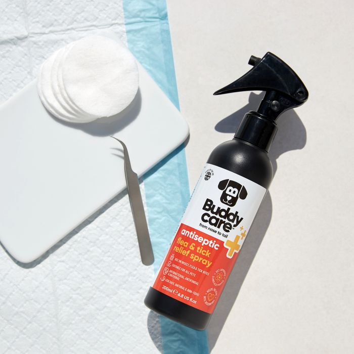 Buddycare Pet Antiseptic Flea & Tick Relief Spray