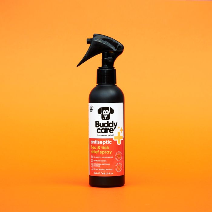 Buddycare Pet Antiseptic Flea & Tick Relief Spray
