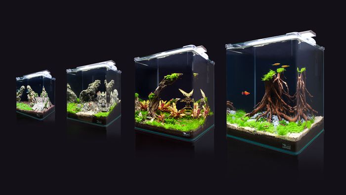 Kubus Curve Aquariums