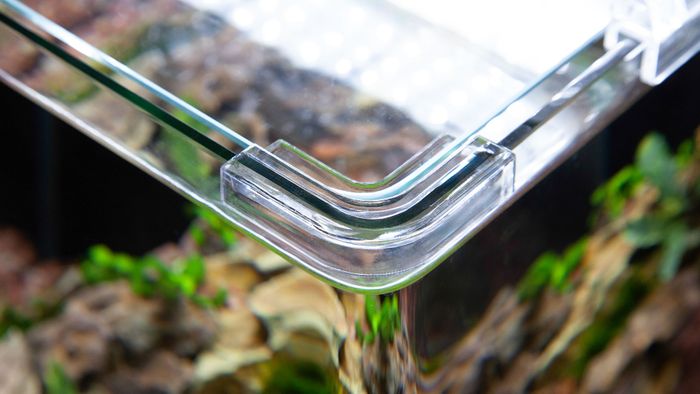 Kubus Curve Aquariums