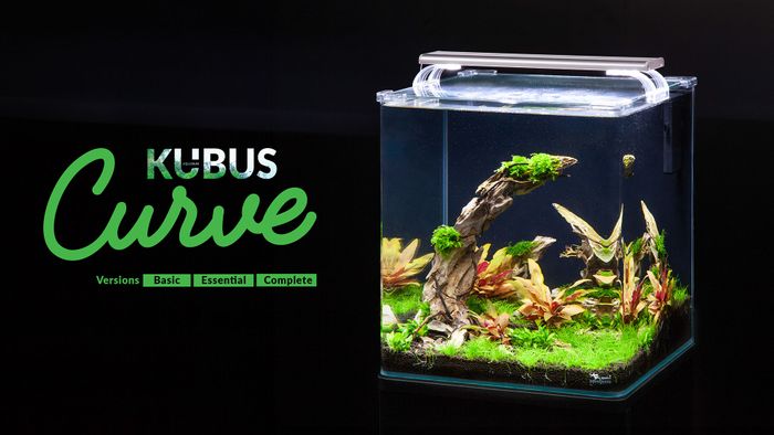 Kubus Curve Aquariums