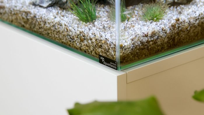 Kubus Aquariums