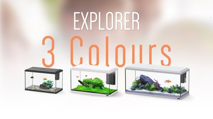 Explorer Aquarium Range