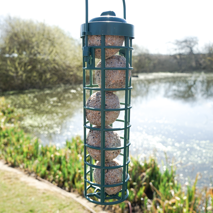 The Wild Bird Standard Suet Fat Balls (50 Tub)