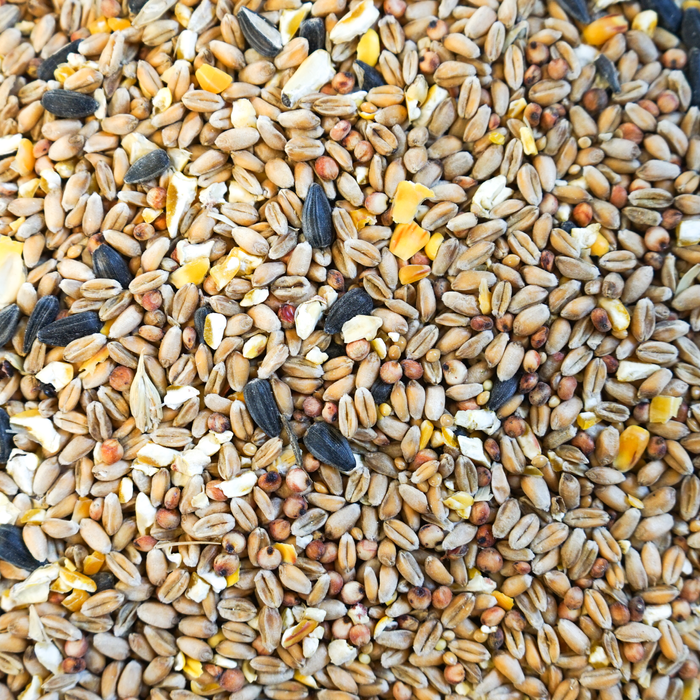 The Wild Bird Seed Mix (2kg)