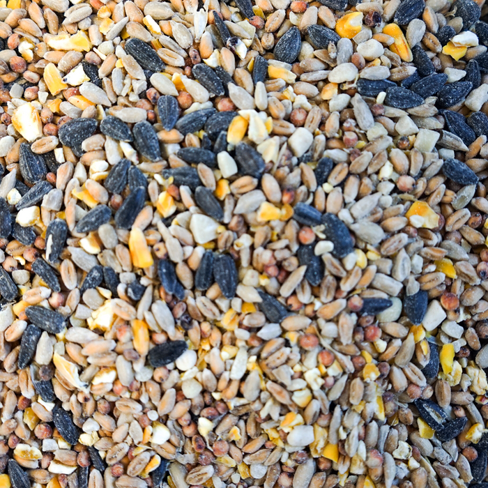 The Wild Bird High Energy Seed Mix (2kg)