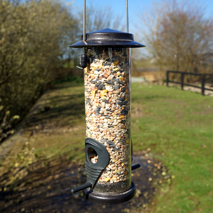 The Wild Bird High Energy Seed Mix (2kg)