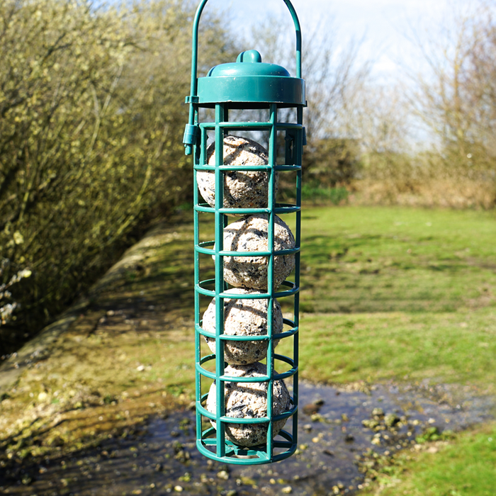 Suet Shop Ultimate Fat Balls (30 Tub)