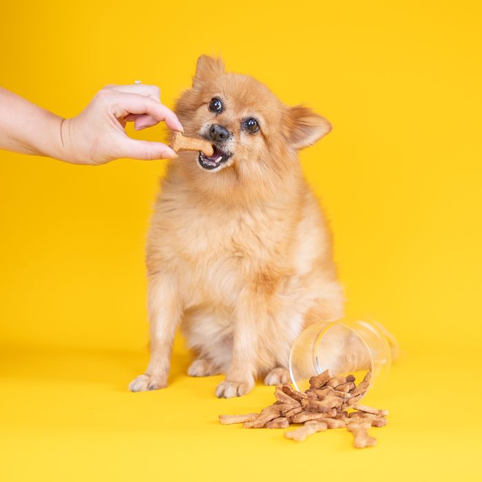 Make-Your-Own Dog Treats: Cinnamon Apple & Peanut Flavour