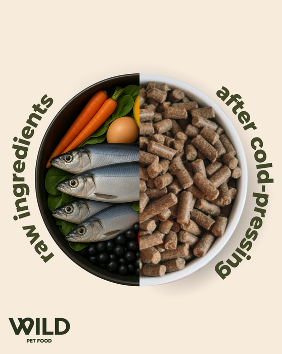 Fish - 80:20 Cold-Pressed Complete