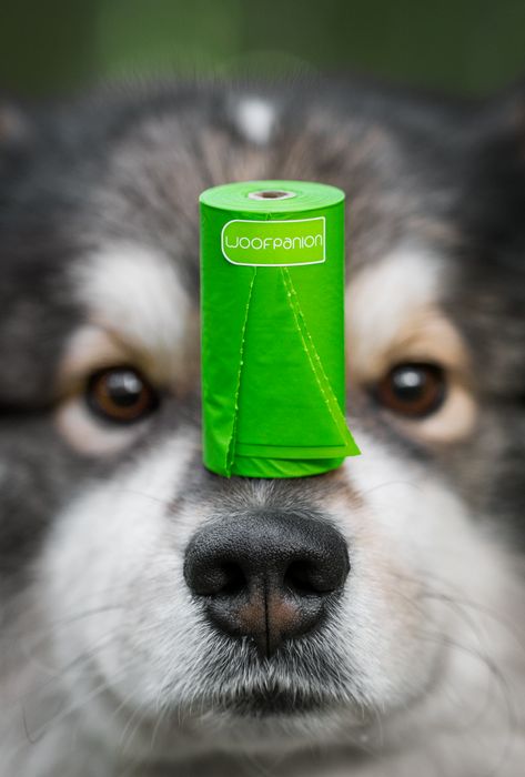 100% Home Compostable Bags For Dogs