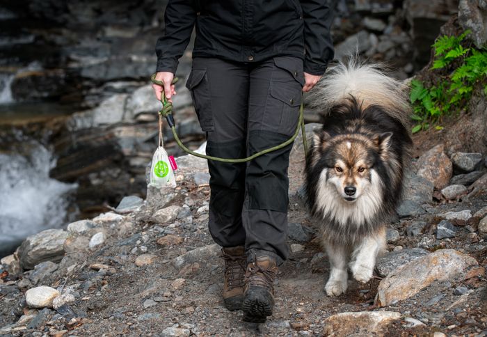 100% Home Compostable Bags For Dogs