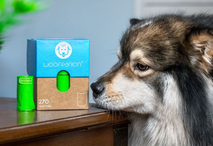 Post-Consumer Recycled Bags (PCR) For Dogs