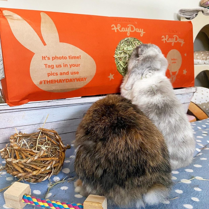 Tasty Timothy Hay 4.5kg