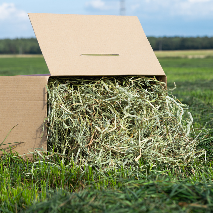 Tasty Timothy Hay 4.5kg