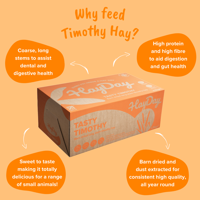 Tasty Timothy Hay 4.5kg