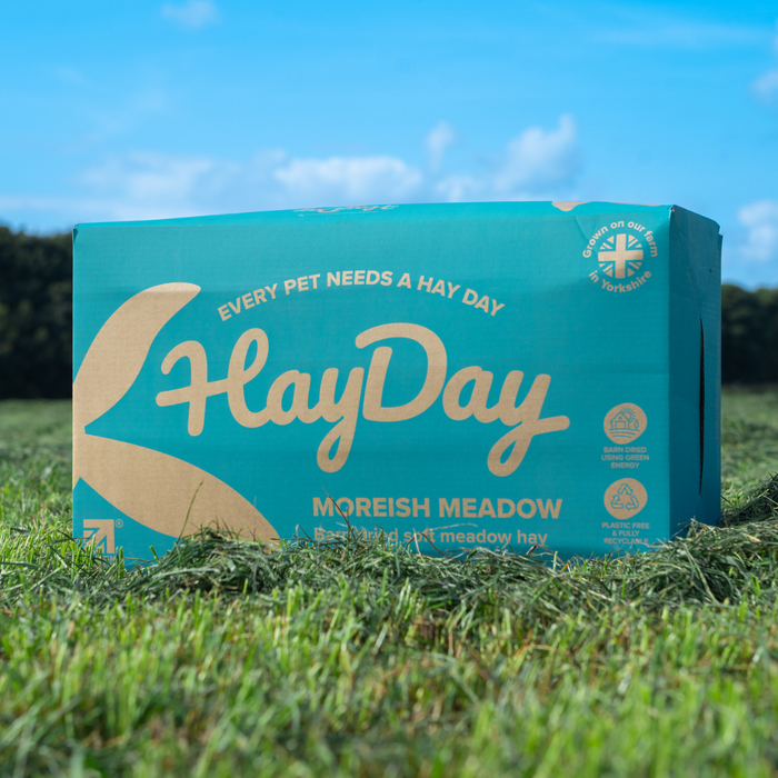 Moreish Meadow Hay 4.5kg