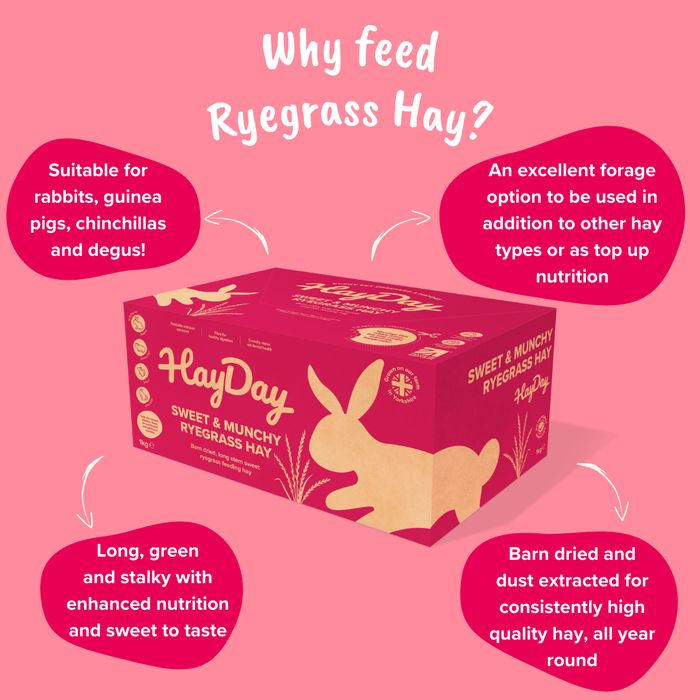 Sweet & Munchy Ryegrass Hay 4.5kg