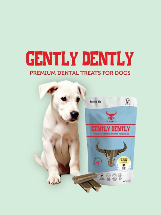 Gently Dently