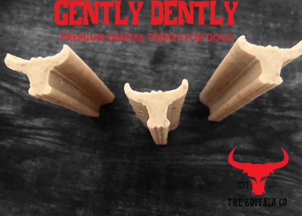 Gently Dently