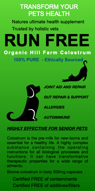 RunFree grass-fed bovine colostrum