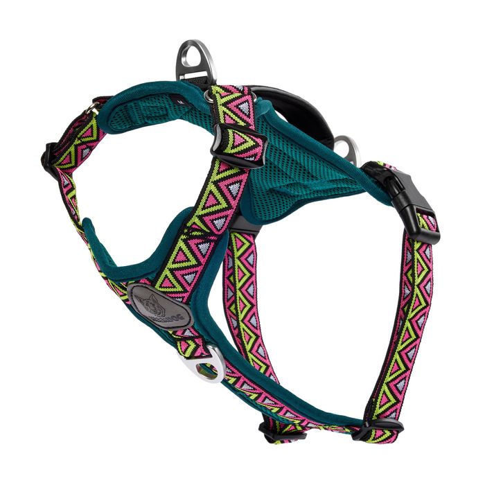 Go-B-Bold Lantana Harness